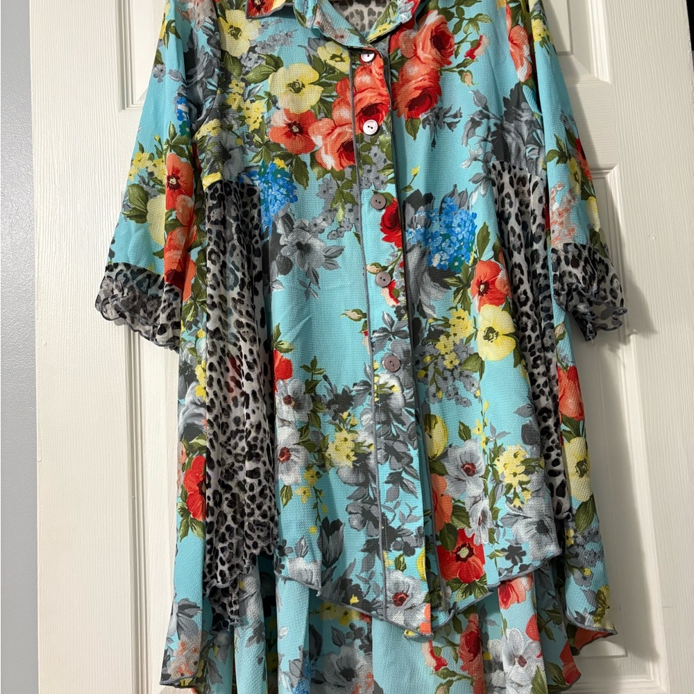 Zadie B’s Tunic top